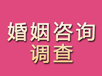 桦川婚姻咨询调查